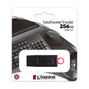 USB Kingston 256GB USB3.2